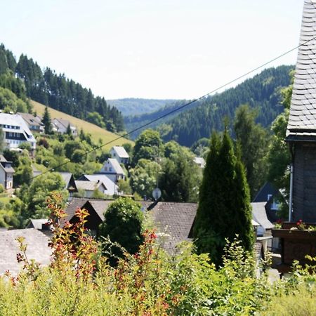 Large Holiday Home In Willingen With Private Garden And Several Terraces ภายนอก รูปภาพ