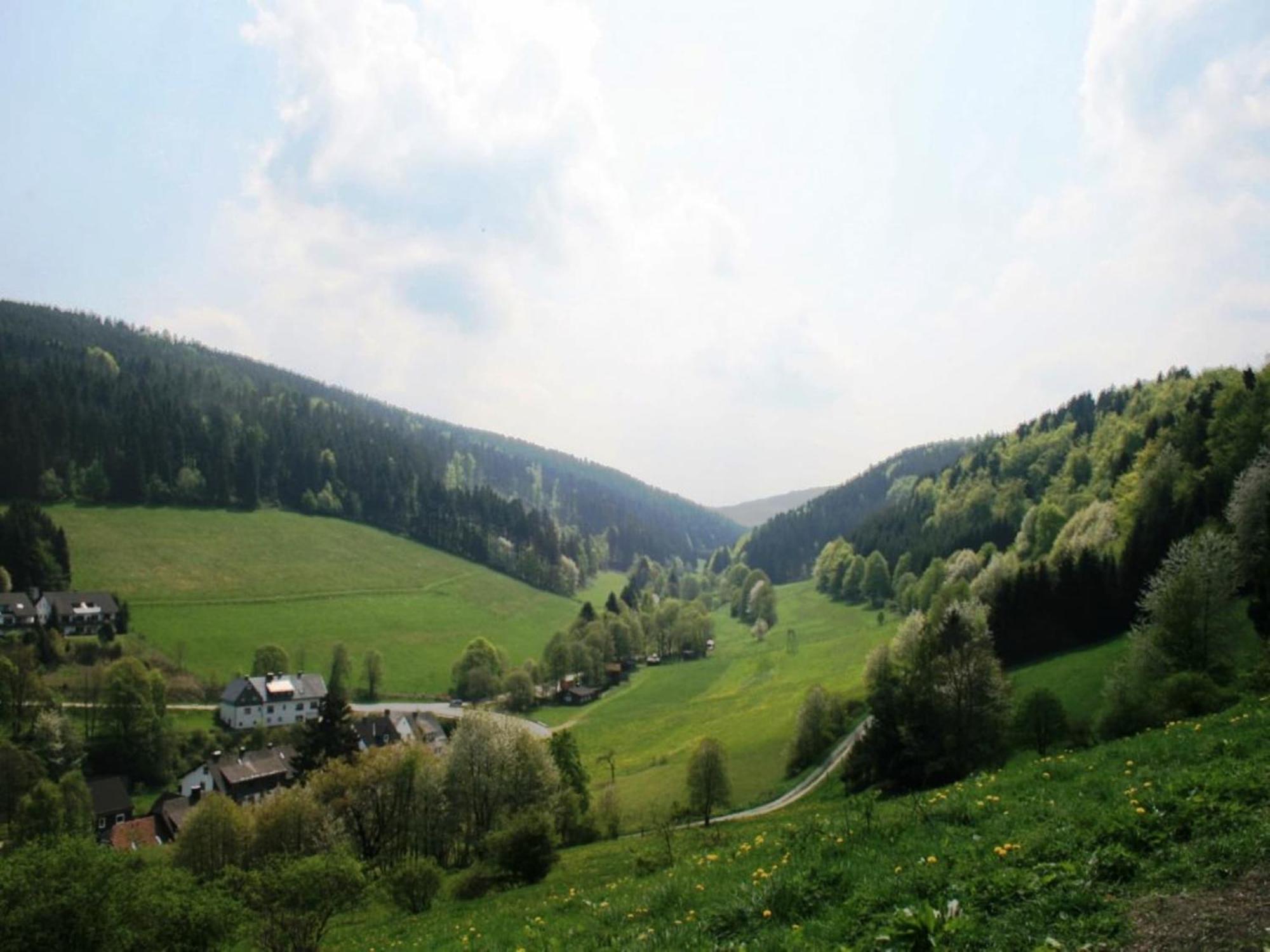 Large Holiday Home In Willingen With Private Garden And Several Terraces ภายนอก รูปภาพ