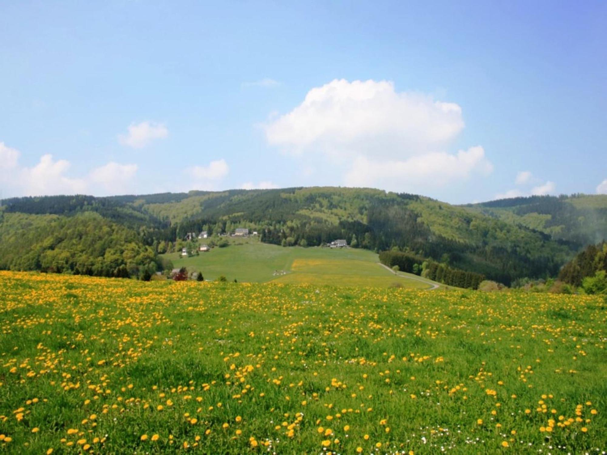Large Holiday Home In Willingen With Private Garden And Several Terraces ภายนอก รูปภาพ