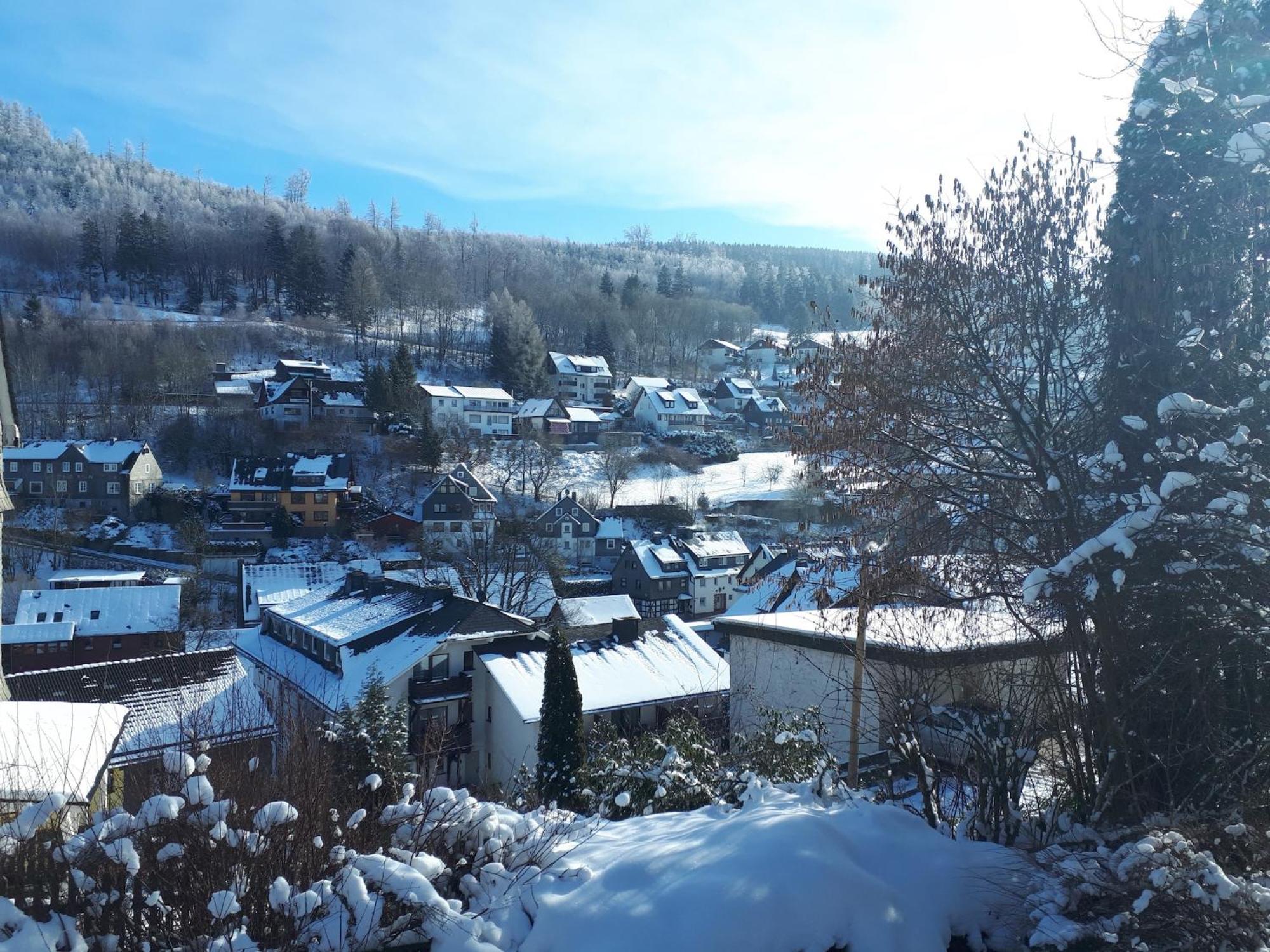 Large Holiday Home In Willingen With Private Garden And Several Terraces ภายนอก รูปภาพ